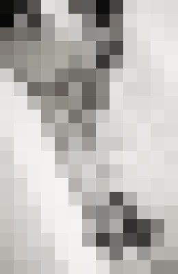 Background image - blurred