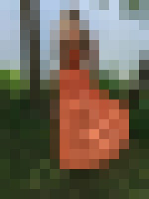Background image - blurred
