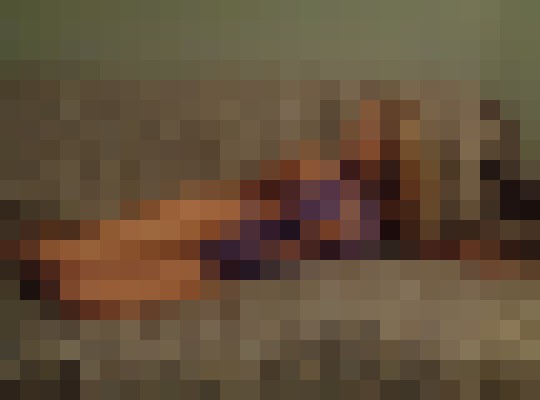 Background image - blurred