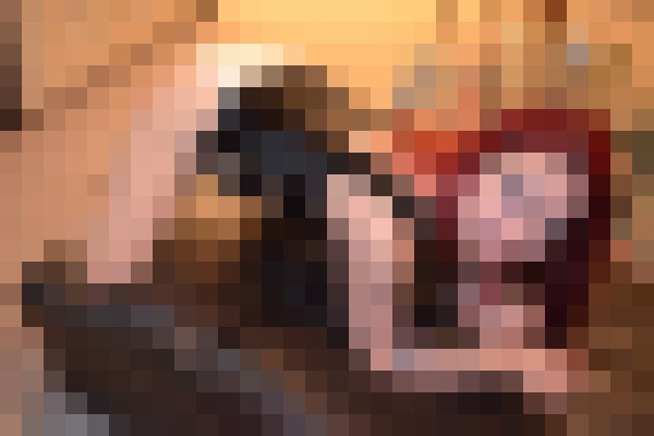 Background image - blurred