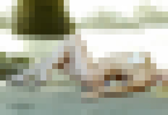Background image - blurred