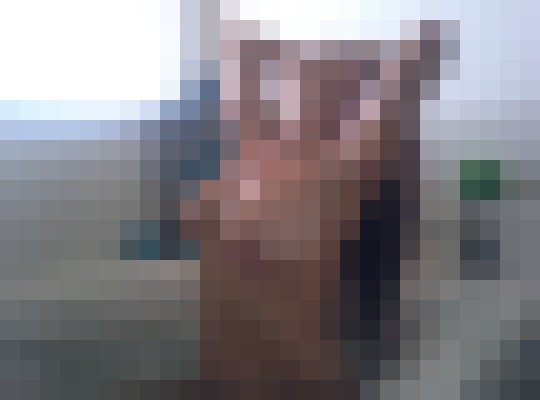 Background image - blurred