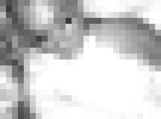 Background image - blurred