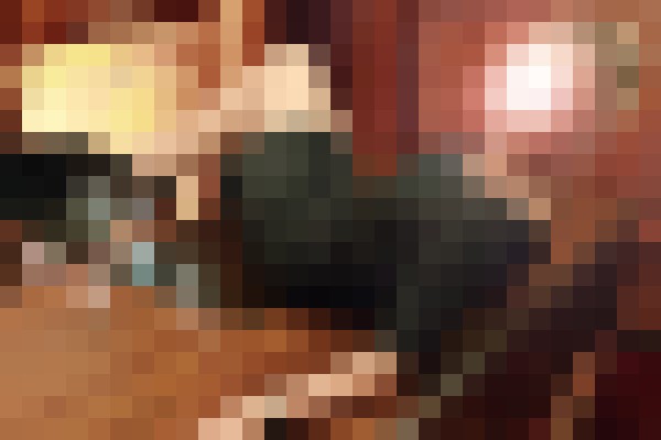 Background image - blurred