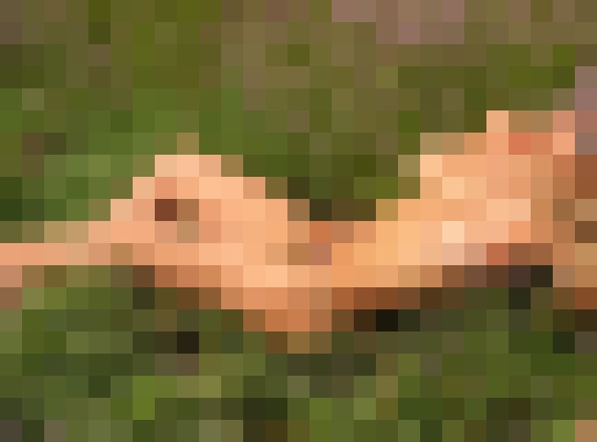 Skyonfyr San Francisco, California Escort, , Verified Adult Service Provider, Companion in United States | 2