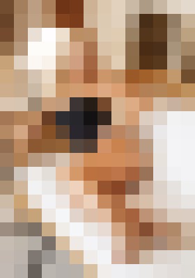 EliteAmber Bratislava Escort, DUO, Massage, Verified Adult Service Provider, Companion in Slovakia | 17