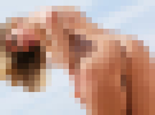 Background image - blurred