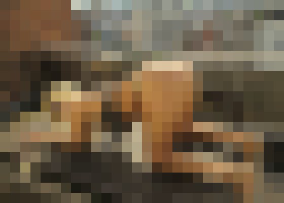 Background image - blurred