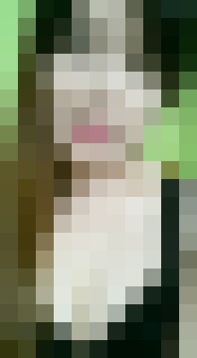 Background image - blurred