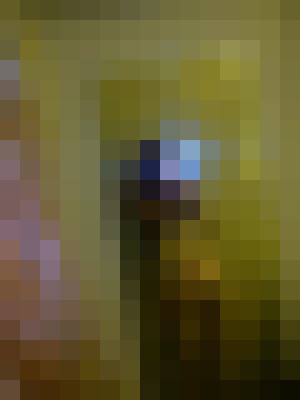 Background image - blurred