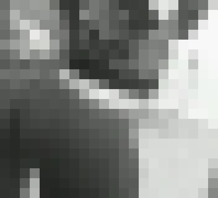 Background image - blurred