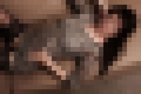 Background image - blurred