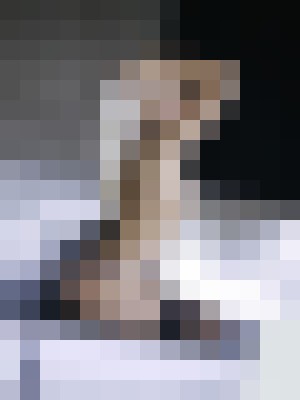 Background image - blurred