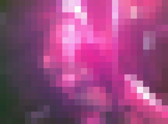 Background image - blurred