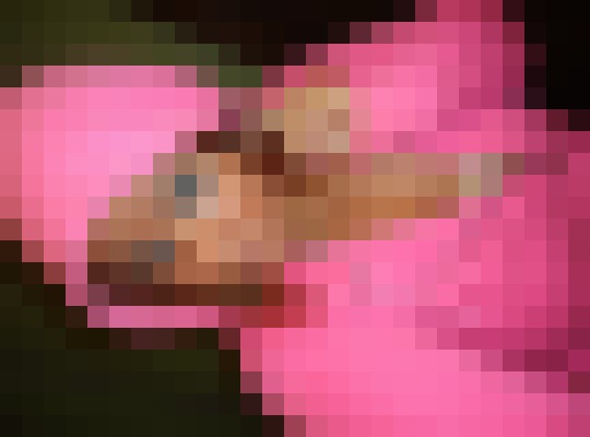 Background image - blurred