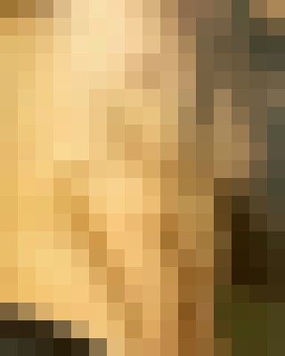 Background image - blurred