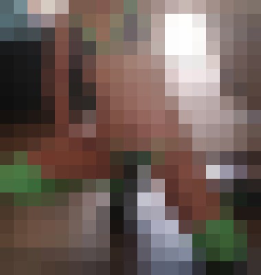 Background image - blurred
