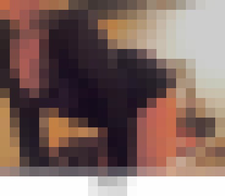 Background image - blurred