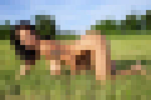 Background image - blurred
