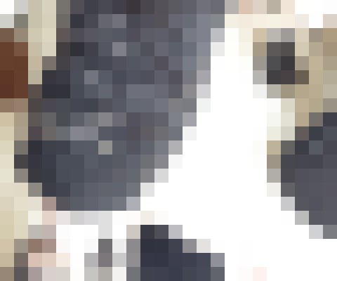 Background image - blurred