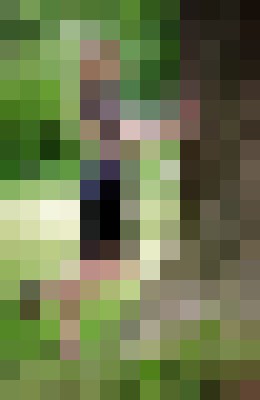 Background image - blurred