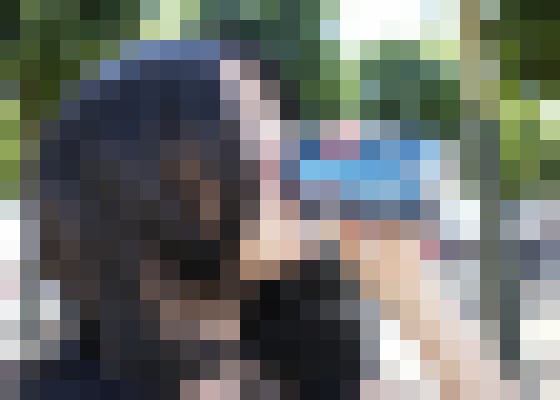 Background image - blurred
