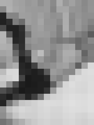 Background image - blurred