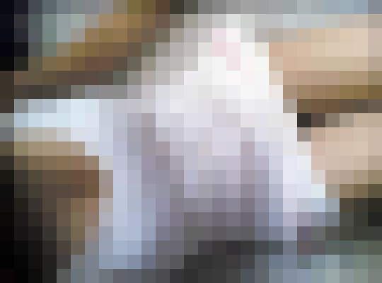 Background image - blurred