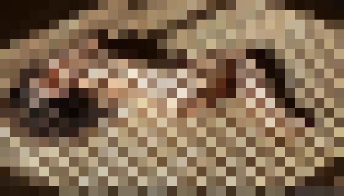 Background image - blurred