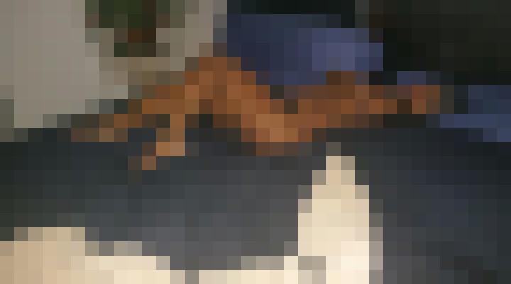Background image - blurred