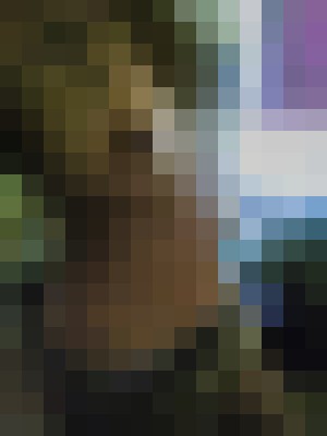 Background image - blurred