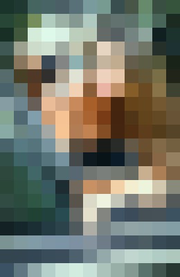 Background image - blurred