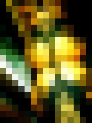 Background image - blurred