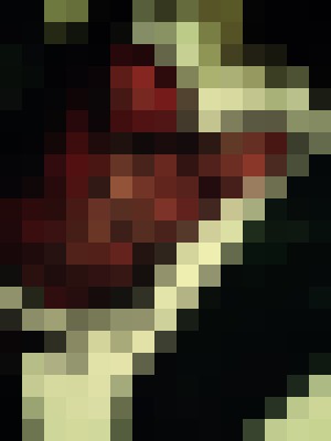 Background image - blurred