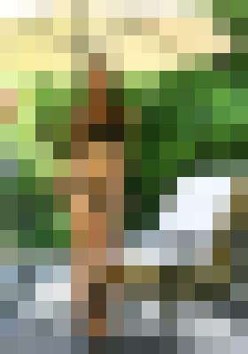 Background image - blurred