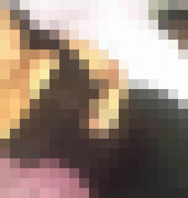 Background image - blurred