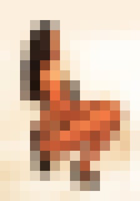 Background image - blurred