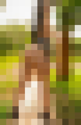Background image - blurred
