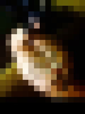 Background image - blurred