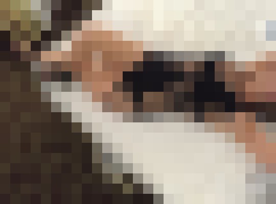 Background image - blurred