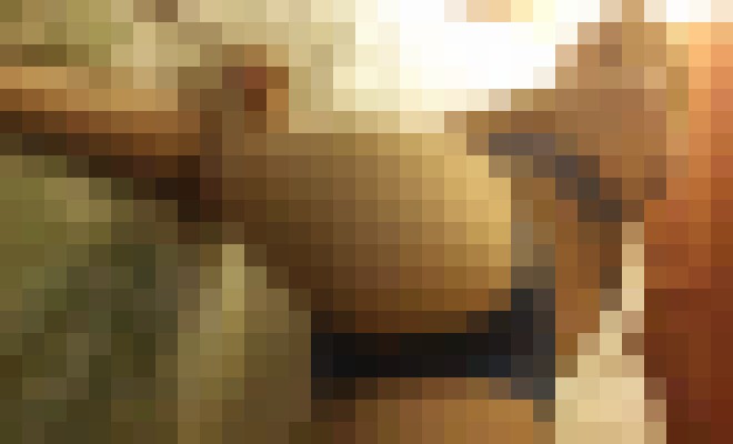 Background image - blurred