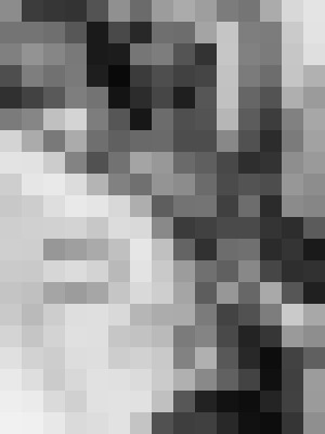 Background image - blurred