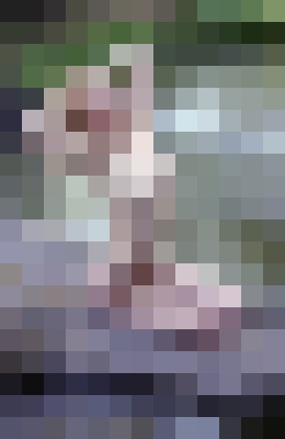 Background image - blurred