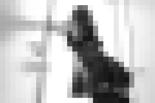 Background image - blurred