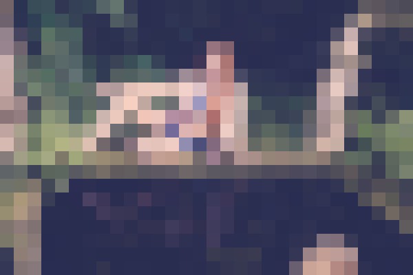 Background image - blurred