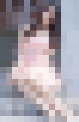Background image - blurred