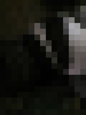 Background image - blurred