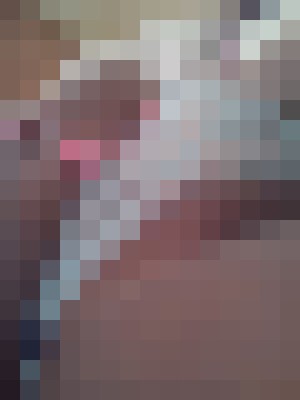 HollyTheHottie Dallas, Texas Escort, Pornstar, Massage, Verified Adult Service Provider, Companion in United States | 6