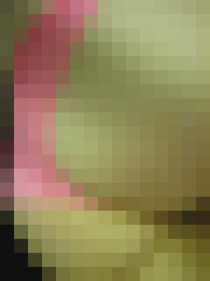 Background image - blurred