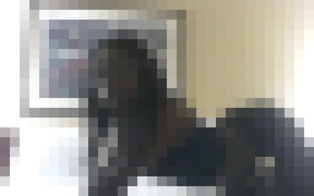Ayleanna Everett, Washington Escort, Pornstar, Massage, Verified Adult Service Provider, Companion in United States | 2